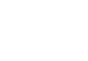 Purple Horse Logo